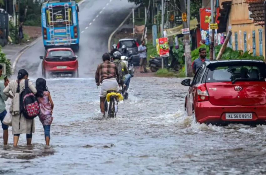  മൂന്ന് ദിവസം കൂടി ശക്തമായ മഴ തുടരും; ഏഴ് ജില്ലകളിൽ യെല്ലോ അലർട്ട് പ്രഖ്യാപിച്ചു