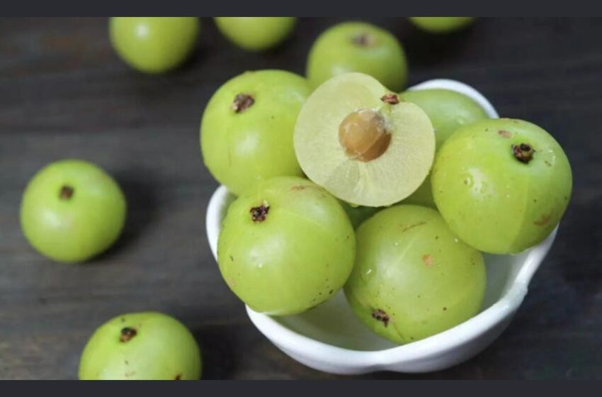  നെല്ലിക്ക ചിലപ്പോള്‍ വിഷമാകും; ഈ 6 കൂട്ടര്‍ സൂക്ഷിക്കണം