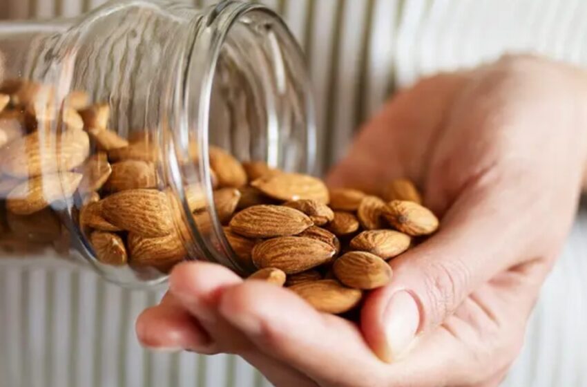  വയര്‍ ചാടിനില്‍ക്കുന്നുണ്ടോ? തടി കുറയ്ക്കാൻ ബദാം ബെസ്റ്റാണ്; പക്ഷെ ഇങ്ങനെ കഴിക്കണം