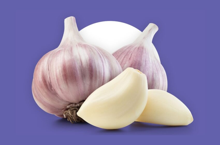  രക്തസമ്മർദവും കൊളസ്‌ട്രോളും കുറയ്ക്കാം; വെളുത്തുള്ളി നൽകുന്ന അത്ഭുതകരമായ  10 ആരോഗ്യ ഗുണങ്ങൾ