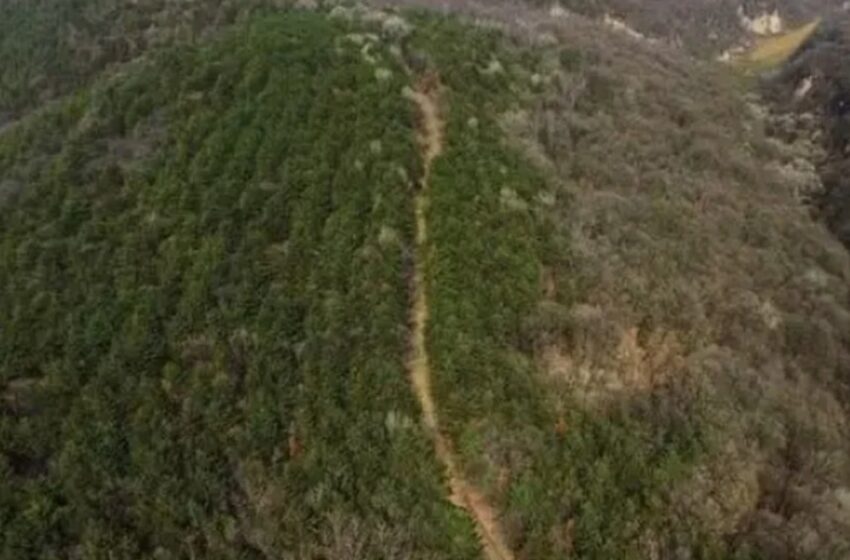  പുരാതന ചൈനയിലെ ‘സൂപ്പർ ഹൈവേ’; 2200 വർഷം പഴക്കമുള്ള പാതയുടെ അവശിഷ്ടങ്ങൾ കണ്ടെത്തി