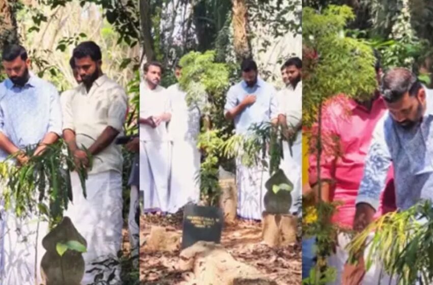  ‘ഞാൻ ജയിച്ചെടാ മോനേ…’- ഷുഹൈബിന്റെ ഖബറിടത്തിൽ കണ്ണീരോടെ റിജിൽ മാക്കുറ്റി