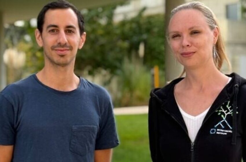  മധ്യവയസ്കര്‍ ‘ഡയറ്റ്’ എടുക്കുമ്പോള്‍ സൂക്ഷിച്ചു വേണം; ഇല്ലെങ്കില്‍ തലച്ചോറിന് പണികിട്ടുമെന്ന് പഠനം