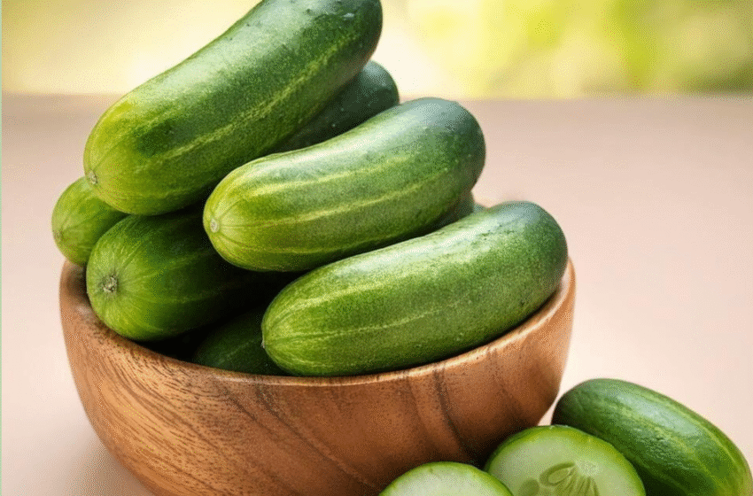  പ്രമേഹം മുതൽ ഹൃദ്രോഗം വരെ തടയാം; ദിവസവും കക്കിരി കഴിച്ചാലുള്ള ഗുണങ്ങൾ ഇവയാണ്