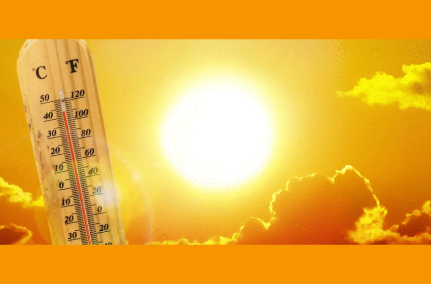  ചുട്ടുപൊള്ളി കണ്ണൂര്‍; രാജ്യത്തെ ഏറ്റവും ചൂടേറിയ നഗരം, പുലര്‍ച്ചെ വരെ കൊടും തണുപ്പും പകല്‍ കത്തുന്ന ചൂടും