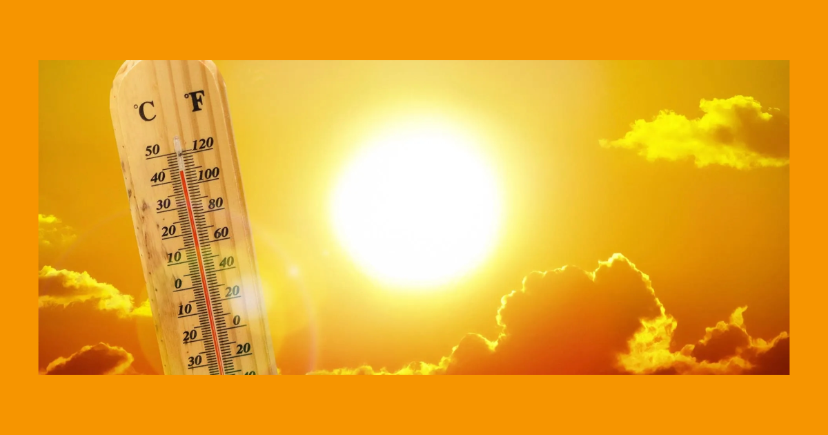  ചുട്ടുപൊള്ളി കണ്ണൂര്‍; രാജ്യത്തെ ഏറ്റവും ചൂടേറിയ നഗരം, പുലര്‍ച്ചെ വരെ കൊടും തണുപ്പും പകല്‍ കത്തുന്ന ചൂടും