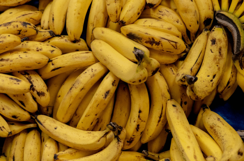  പ്രമേഹവും മൈഗ്രേനും ഉള്ളവർ സൂക്ഷിക്കുക; വാഴപ്പഴം കഴിക്കുമ്പോൾ അറിയേണ്ട 5 കാര്യങ്ങൾ