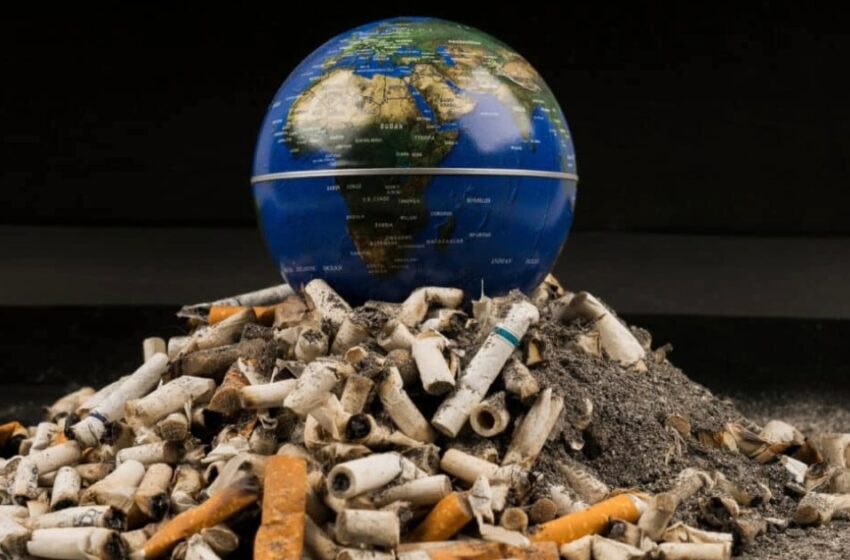  വലിച്ചെറിയുന്നത് വിഷബോംബുകൾ; സിഗരറ്റ് കുറ്റികൾ സൃഷ്ടിക്കുന്നത് വൻ ദുരന്തമെന്ന് പഠനം
