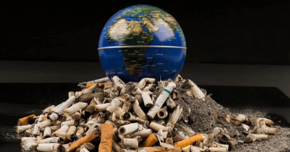 വലിച്ചെറിയുന്നത് വിഷബോംബുകൾ; സിഗരറ്റ് കുറ്റികൾ പ്ലാസ്റ്റിക് മലിനീകരണത്തിൽ ഒന്നാമതെന്ന് പുതിയ പഠനംCigarette Butts Choking the Planet