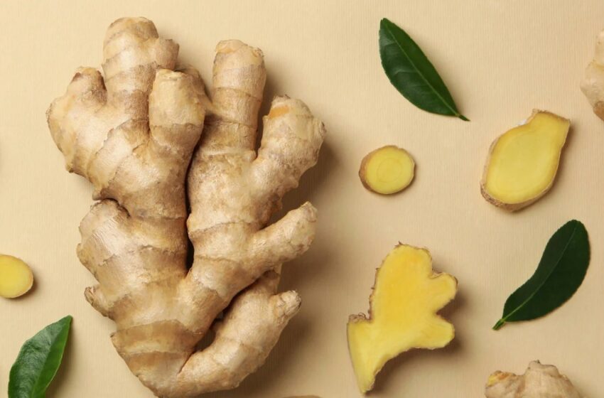  അടുക്കളയിലെ മാന്ത്രിക മരുന്ന്: ഇഞ്ചി ഇങ്ങനെ കഴിച്ചുനോക്കൂ…അറിയാം 10 ഗുണങ്ങൾ