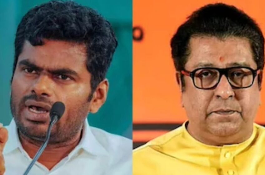  ‘ഞാൻ മുംബൈയിൽ വരുന്നു; ധൈര്യമുണ്ടെങ്കിൽ എന്‍റെ കാലുകൾ വെട്ടൂ’- രാജ് താക്കറെയോട് കെ. അണ്ണാമലൈ