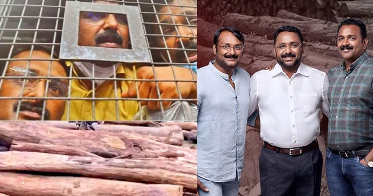 മുട്ടിൽ മരംമുറിക്കേസിൽ അഗസ്റ്റിൻ സഹോദരങ്ങൾക്ക് തിരിച്ചടി; പ്രതികളുടെ അപ്പീൽ തള്ളി ജില്ലാ കോടതി | Muttil Tree Felling Case: Setback for Augustine Brothers, Wayanad Court Rejects Appeal on Rosewood Confiscation