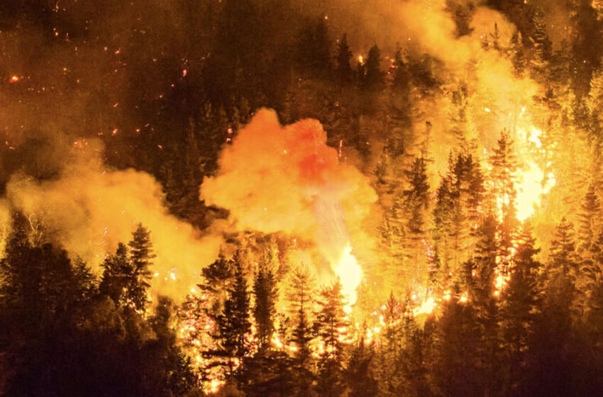  അര്‍ജന്റീനയിലെ കാട്ടുതീക്ക് പിന്നില്‍ ഇസ്രയേലികള്‍? ഐഡിഎഫ് ഗ്രനേഡ് ഉപയോഗിച്ചെന്ന് ആരോപണം; വന്‍ വിവാദം