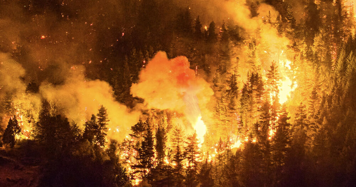 അര്‍ജന്റീനയിലെ കാട്ടുതീക്ക് പിന്നില്‍ ഇസ്രയേലികള്‍? ഐഡിഎഫ് ഗ്രനേഡ് ഉപയോഗിച്ചെന്ന് ആരോപണം; വന്‍ വിവാദം | Did Israelis Cause Argentina Wildfire? Opposition Alleges Use of IDF Grenade; Massive Controversy