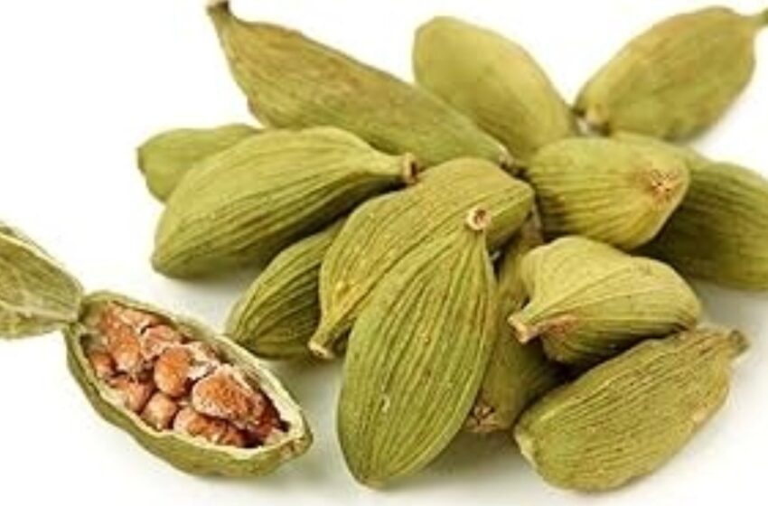  ദഹനക്കേടും വായ്‌നാറ്റവും പമ്പകടക്കും; അത്താഴത്തിന് ശേഷം ഏലയ്ക്ക കഴിച്ചാലുള്ള 10 ഗുണങ്ങൾ അറിയാം