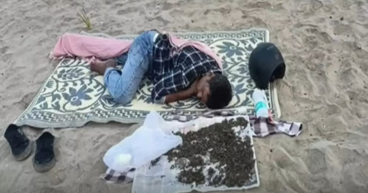  കോഴിക്കോട് ബീച്ചിൽ കഞ്ചാവ് ഉണക്കാനിട്ട് കിടന്നുറങ്ങിയ യുവാവ് പിടിയിൽ