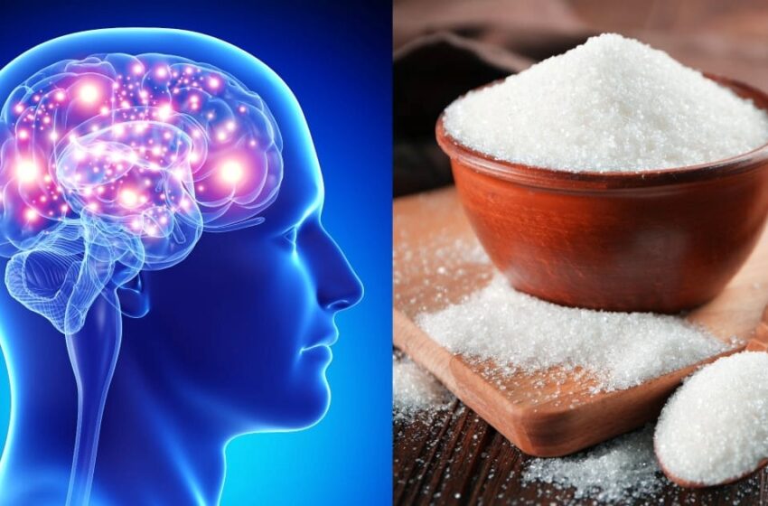  തലച്ചോറിനെ കാക്കാൻ മധുരം കുറക്കാം; മസ്തിഷ്ക പരിക്കുകളിൽ നിന്ന് രക്ഷപെടാൻ പുതിയ വഴി