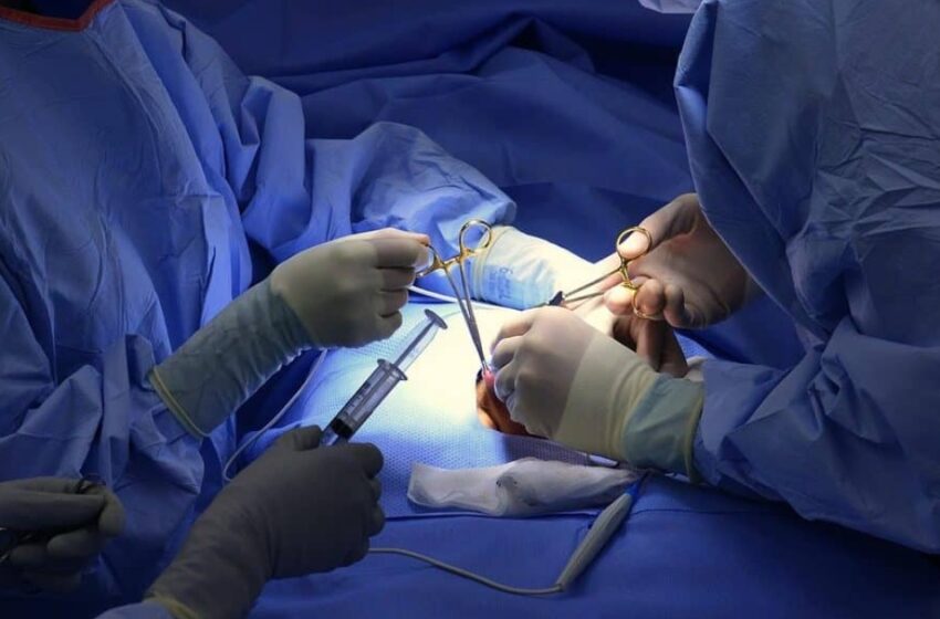  ‘അബദ്ധം പറ്റി, ജീവൻ അപകടത്തിലാണ്’; തൃശൂർ ജില്ലാ ജനറൽ ആശുപത്രിയിൽ ഗർഭപാത്രം നീക്കുന്ന ശസ്ത്രക്രിയയ്ക്കിടെ മൂത്രാശയം മുറിഞ്ഞു