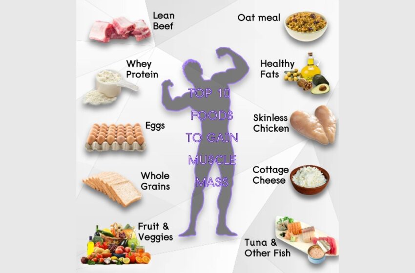  മസിൽ വളർത്താൻ ജിം മാത്രം പോരാ; ഭക്ഷണക്രമത്തിൽ ഉൾപ്പെടുത്തേണ്ട 7 പ്രധാന വിഭവങ്ങൾ ഇതാ