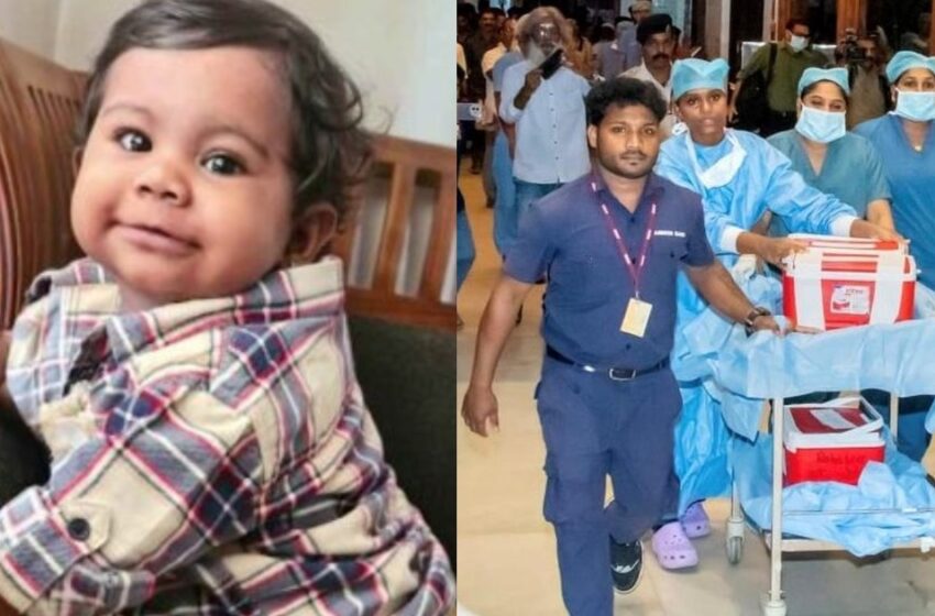  ആലിന്റെ അവയവങ്ങൾ നാലു കുഞ്ഞുങ്ങൾക്ക് ജീവിതമേകും; സങ്കീർണ്ണ ശസ്ത്രക്രിയകൾ പുരോഗമിക്കുന്നു, സംസ്‌കാരം നാളെ