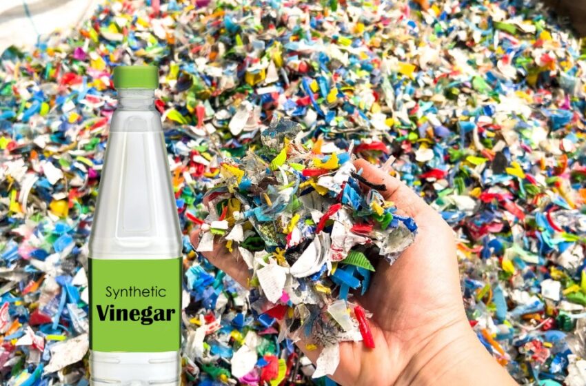  പ്ലാസ്റ്റിക് ഇനി വിനാഗിരിയാകും; മലിനീകരണത്തിന് പുതിയ പരിഹാരം