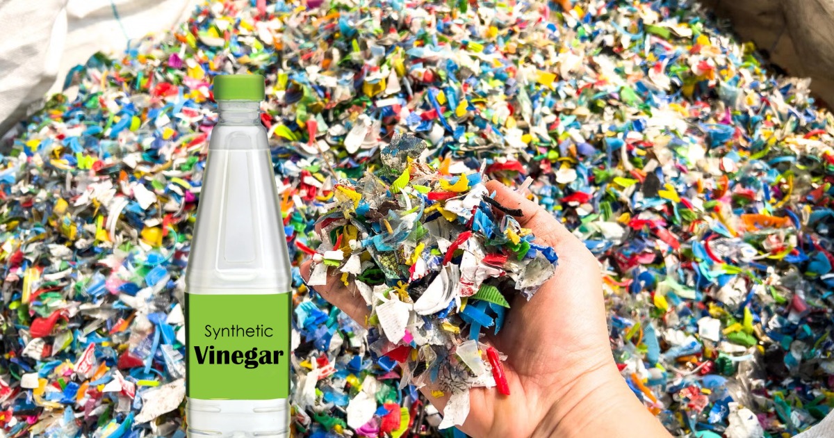  പ്ലാസ്റ്റിക് ഇനി വിനാഗിരിയാകും; മലിനീകരണത്തിന് പുതിയ പരിഹാരം