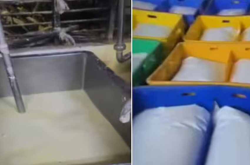  പാൽ നിർമിക്കുന്നത് സോപ്പുപൊടിയും മൂത്രലവണവും ചേർത്ത്; ഗുജറാത്തിൽ വമ്പൻ വ്യാജ പാൽ നിർമാണ കേന്ദ്രം പിടിയിൽ