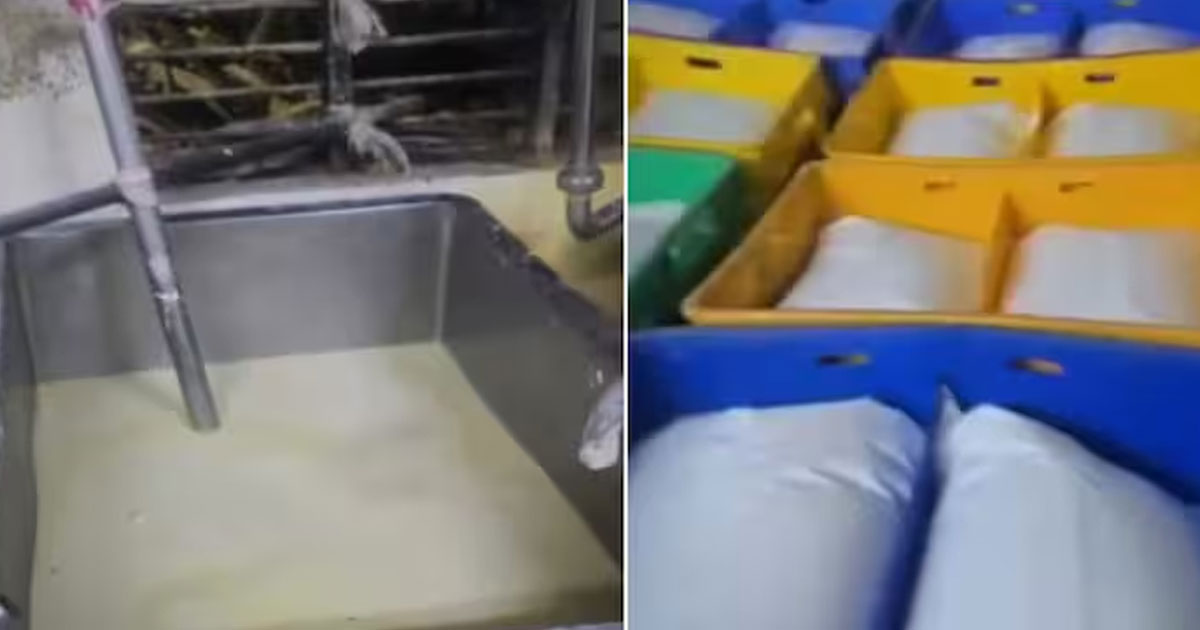 പാൽ നിർമിക്കുന്നത് സോപ്പുപൊടിയും മൂത്രലവണവും ചേർത്ത്; ഗുജറാത്തിൽ വമ്പൻ വ്യാജ പാൽ നിർമാണ കേന്ദ്രം പിടിയിൽ | Gujarat Fake Milk Racket Busted: Detergent and Urea Used to Make Adulterated Milk for 5 Years