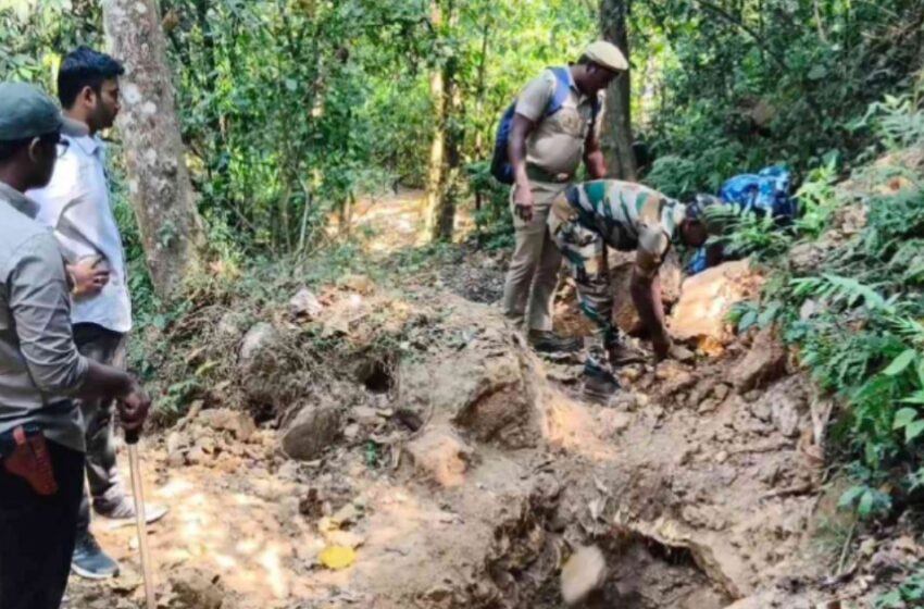  പൊന്ന് തിരഞ്ഞ് മലയാളികളും ഗൂഡല്ലൂരിലേക്ക് ഒഴുകുന്നു; 100ലേറെ തുരങ്കങ്ങൾ നിർമിച്ച് വൻ അനധികൃത ’സ്വർണ ഖനനം’