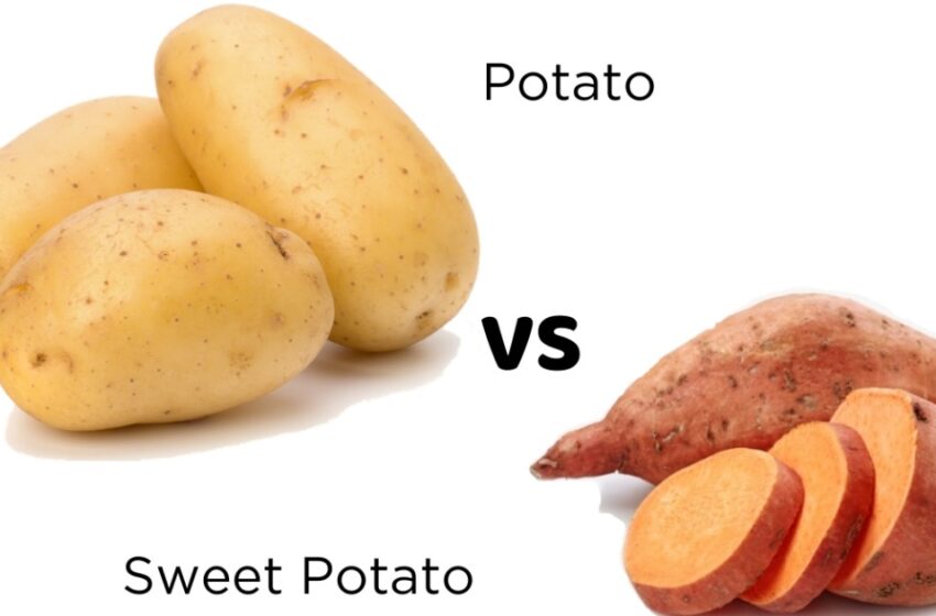  ഉരുളക്കിഴങ്ങോ മധുരക്കിഴങ്ങോ? പ്രമേഹം നിയന്ത്രിക്കാൻ മികച്ചത് ഏത്?