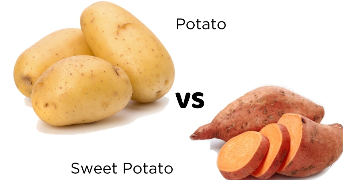 ഉരുളക്കിഴങ്ങോ മധുരക്കിഴങ്ങോ? പ്രമേഹം നിയന്ത്രിക്കാൻ മികച്ചത് ഏത്?Potato or Sweet Potato? Which is better for controlling diabetes?