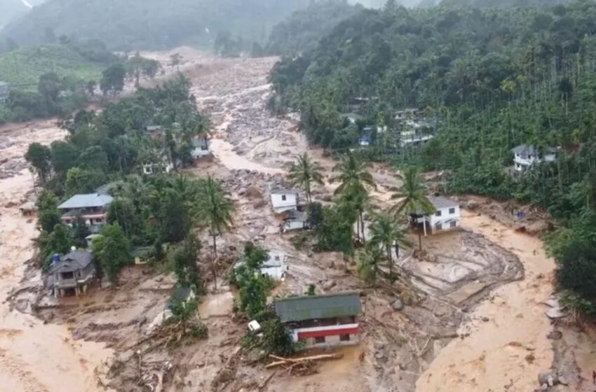  വയനാട് ഉരുൾപൊട്ടൽ: വ്യാപാരികൾക്കും സംരംഭകർക്കും ആശ്വാസപ്പൊതി; ഒരു കടയ്ക്ക് 7 ലക്ഷം, സംരംഭകർക്ക് നഷ്ടത്തിൻ്റെ 50 ശതമാനം