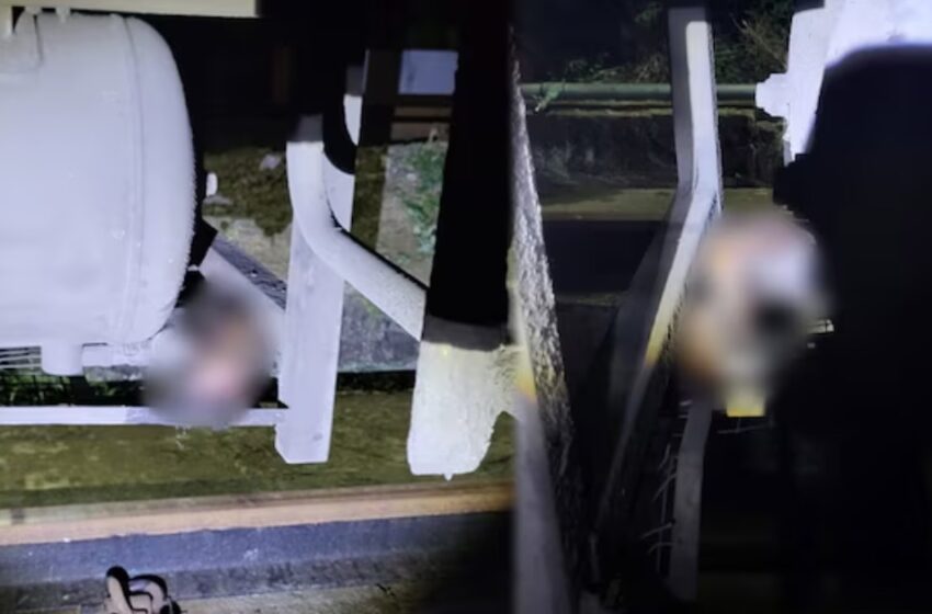  ആലപ്പുഴയിൽ ധൻബാദ് എക്സ്പ്രസിന്റെ കോച്ചിനടിയിൽ മനുഷ്യന്റെ കൈ; അന്വേഷണം ആരംഭിച്ചു