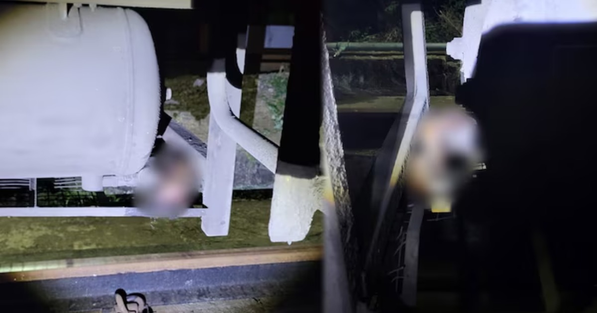 ആലപ്പുഴയിൽ ധൻബാദ് എക്സ്പ്രസിന്റെ കോച്ചിനടിയിൽ മനുഷ്യന്റെ കൈ കണ്ടെത്തി; അന്വേഷണം ആരംഭിച്ചുHuman Arm Found Under Dhanbad Express Coach