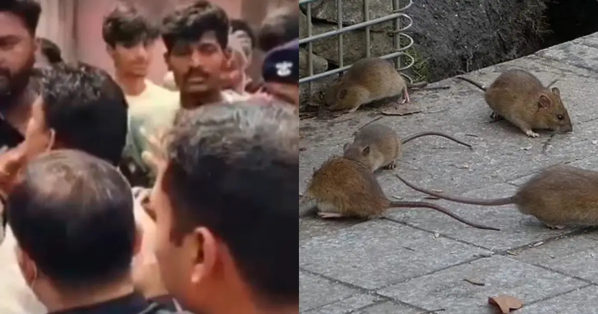 മോർച്ചറിയിൽ മൃതദേഹം എലി കരണ്ടു; യുപിയിൽ സർക്കാർ ആശുപത്രിക്കെതിരെ വൻ പ്രതിഷേധം.