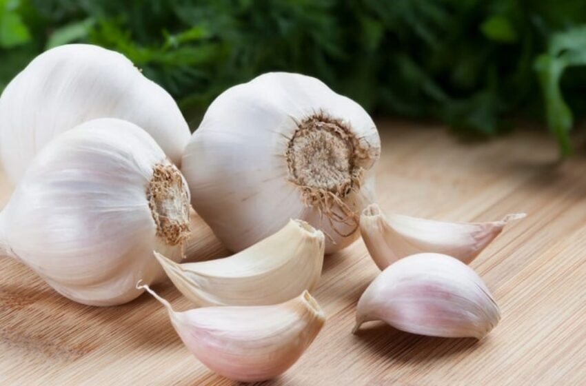  രാവിലെ രണ്ട് അല്ലി വെളുത്തുള്ളി ശീലമാക്കൂ; അത്ഭുതകരമായ ആരോഗ്യഗുണങ്ങൾ അറിയാം