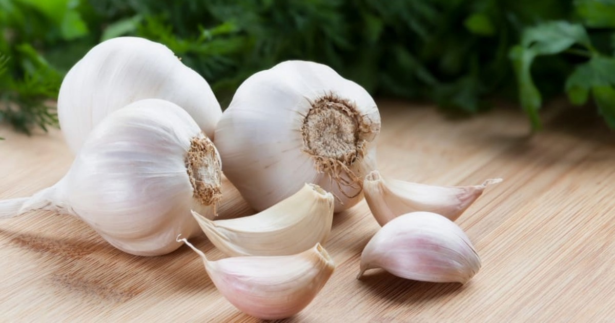 രാവിലെ രണ്ട് അല്ലി വെളുത്തുള്ളി ശീലമാക്കൂ; അത്ഭുതകരമായ ആരോഗ്യഗുണങ്ങൾ അറിയാംGarlicBenefits
