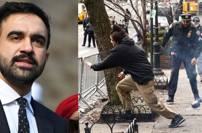  മംദാനിക്ക് നേരെ വധശ്രമം? വസതിക്കുനേരെ സ്‌ഫോടകവസ്തുക്കളെറിഞ്ഞു; ആറുപേർ പിടിയിൽ