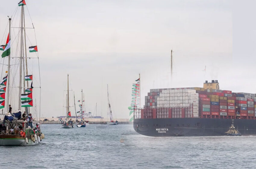  ഇസ്രയേലിലേക്ക് യുദ്ധസാമഗ്രികളുമായി പുറപ്പെട്ട കൂറ്റൻ ചരക്കുകപ്പൽ വളഞ്ഞ് സുമുദ് ഫ്‌ലോട്ടില ബോട്ടുകൾ