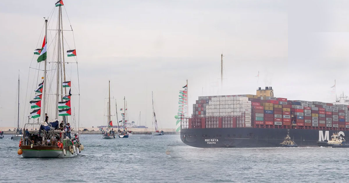 ഇസ്രയേലിലേക്ക് യുദ്ധസാമഗ്രികളുമായി പുറപ്പെട്ട കൂറ്റൻ ചരക്കുകപ്പൽ വളഞ്ഞ് സുമുദ് ഫ്‌ലോട്ടില്ല ബോട്ടുകൾ | Global Sumud Flotilla Intercepts Israel-Bound Cargo Ship MSC Maya Carrying Military Materials