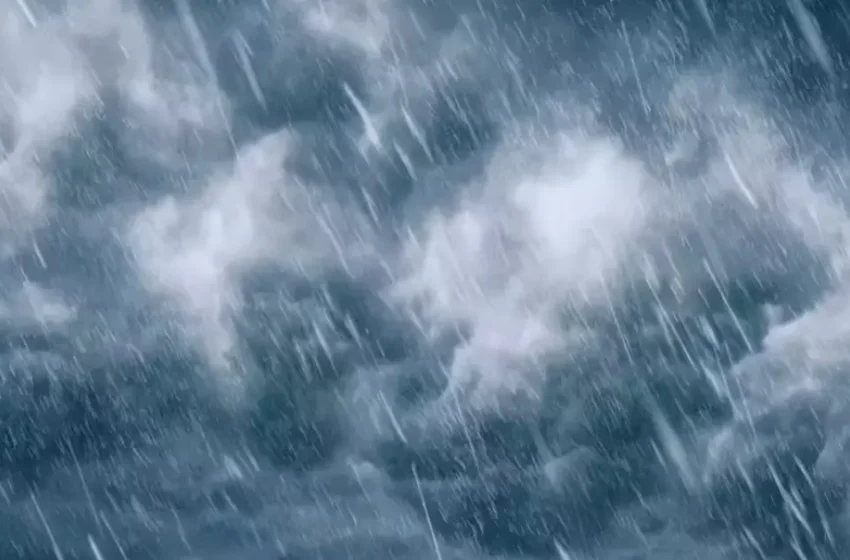  ആശ്വാസമായി വേനൽ മഴയെത്തുന്നു: അടുത്ത അഞ്ച് ദിവസം കേരളത്തിൽ മഴക്ക് സാധ‍്യത