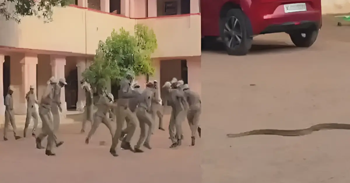 പരേഡിനിടെ അപ്രതീക്ഷിത അതിഥിയായെത്തി ചേര! ചിതറിയോടി പൊലീസുകാർ