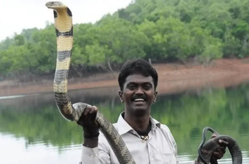  ‘പത്ത് രണ്ടായിരം രൂപ വണ്ടിക്കൂലി കൊടുത്ത് പാമ്പിനെ പിടിക്കാൻ പോയിട്ട് ആളുകൾ പണത്തിനു പകരം നമസ്തേ പറഞ്ഞു വിടും’; വാവ സുരേഷ്