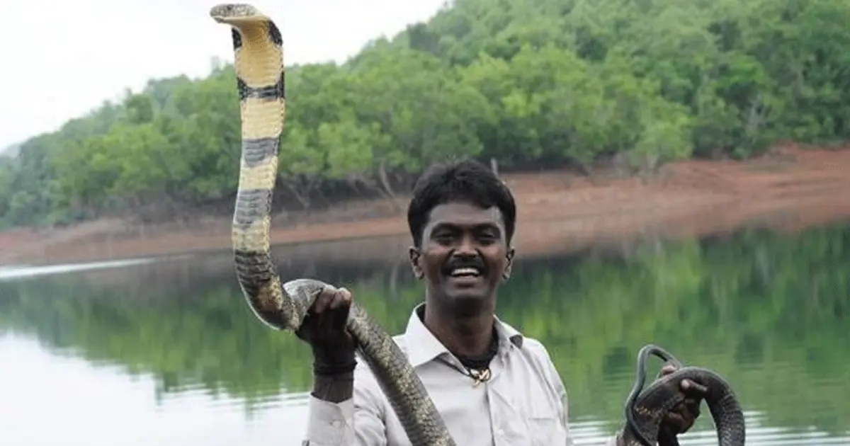  ‘പത്ത് രണ്ടായിരം രൂപ വണ്ടിക്കൂലി കൊടുത്ത് പാമ്പിനെ പിടിക്കാൻ പോയിട്ട് ആളുകൾ പണത്തിനു പകരം നമസ്തേ പറഞ്ഞു വിടും’; വാവ സുരേഷ്