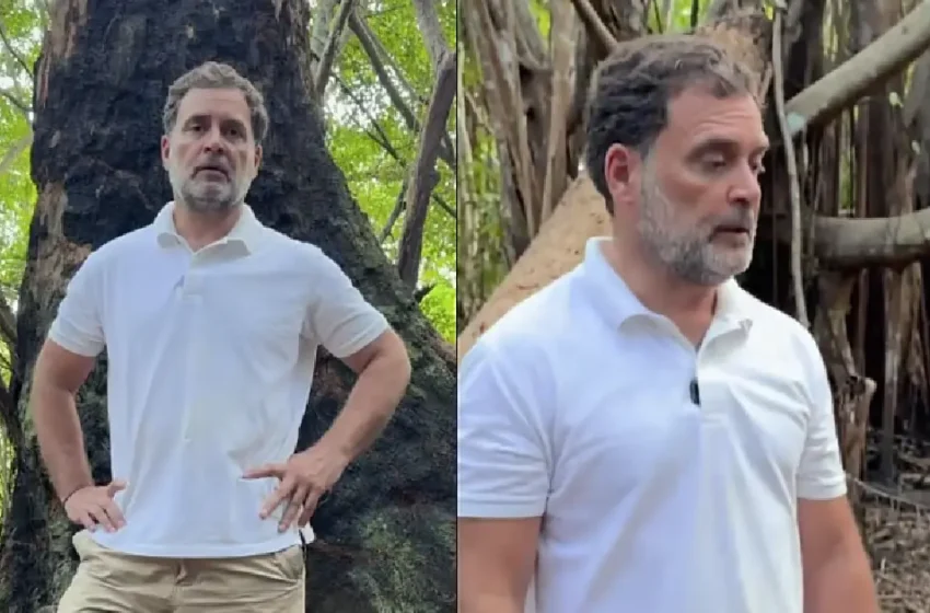  ഗ്രേറ്റ് നിക്കോബാർ പദ്ധതി ഇന്ത്യയിലെ ഏറ്റവും വലിയ അഴിമതിയും പരിസ്ഥിതി കൊള്ളയും: കേന്ദ്ര സർക്കാറിനെതിരെ രാഹുൽ ഗാന്ധി