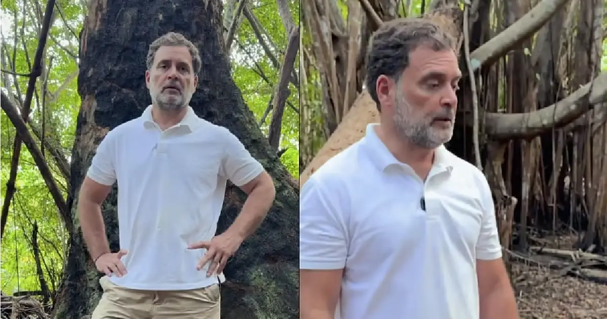  ഗ്രേറ്റ് നിക്കോബാർ പദ്ധതി ഇന്ത്യയിലെ ഏറ്റവും വലിയ അഴിമതിയും പരിസ്ഥിതി കൊള്ളയും: കേന്ദ്ര സർക്കാറിനെതിരെ രാഹുൽ ഗാന്ധി