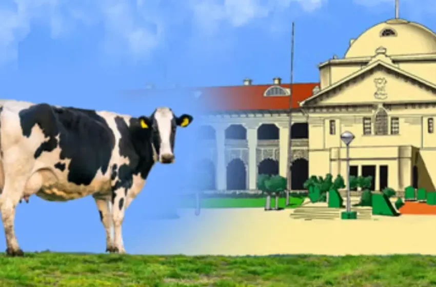  പശുവിറച്ചി കടത്തിയെന്നാരോപിച്ച് വാഹനം പിടിച്ചെടുത്തു: യുപി സർക്കാരിന് 2 ലക്ഷം രൂപ പിഴ ചുമത്തി അലഹബാദ് ഹൈക്കോടതി