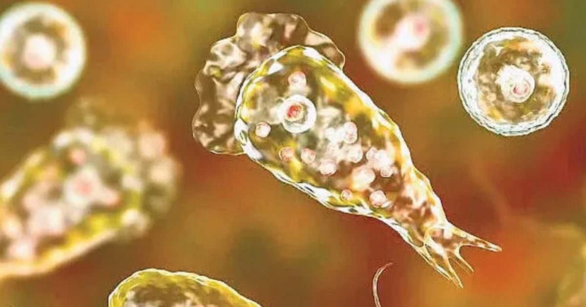  ആശങ്കയായി അമീബിക് മസ്‌തിഷ്‌ക ജ്വരം; മൂന്നര മാസത്തിനിടെ മരിച്ചത് 15 പേർ