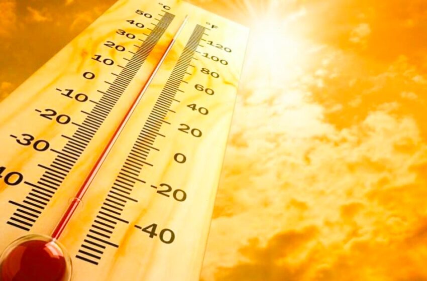  മൊബൈൽ പൊട്ടിത്തെറിക്കുമെന്ന പ്രചാരണം വ്യാജം: അതിശക്തമായ ചൂടിനെക്കുറിച്ചുള്ള അഭ്യൂഹങ്ങൾ തള്ളി ദുരന്ത നിവാരണ അതോറിറ്റി