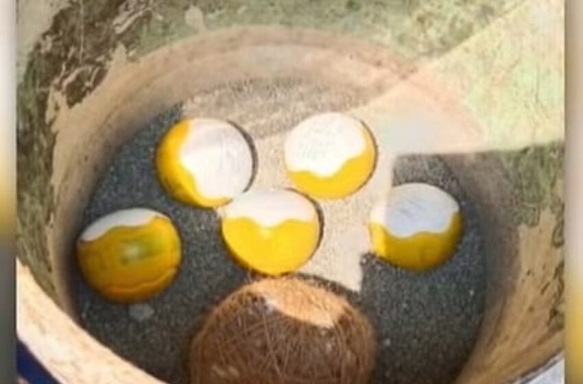  അഞ്ച് ഐസ്‌ക്രീം ബോംബുകളും ഒരു കെട്ടുബോംബും; കണ്ണൂരില്‍ വീണ്ടും ബോംബുകള്‍ കണ്ടെത്തി